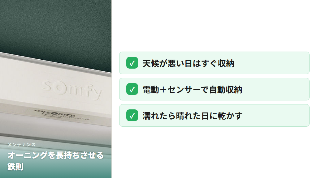 天候対応・乾燥・日常清掃のメンテナンスポイントを整理したチェックリスト形式の図