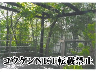 岩手県Ｔ様 デッキ施工例